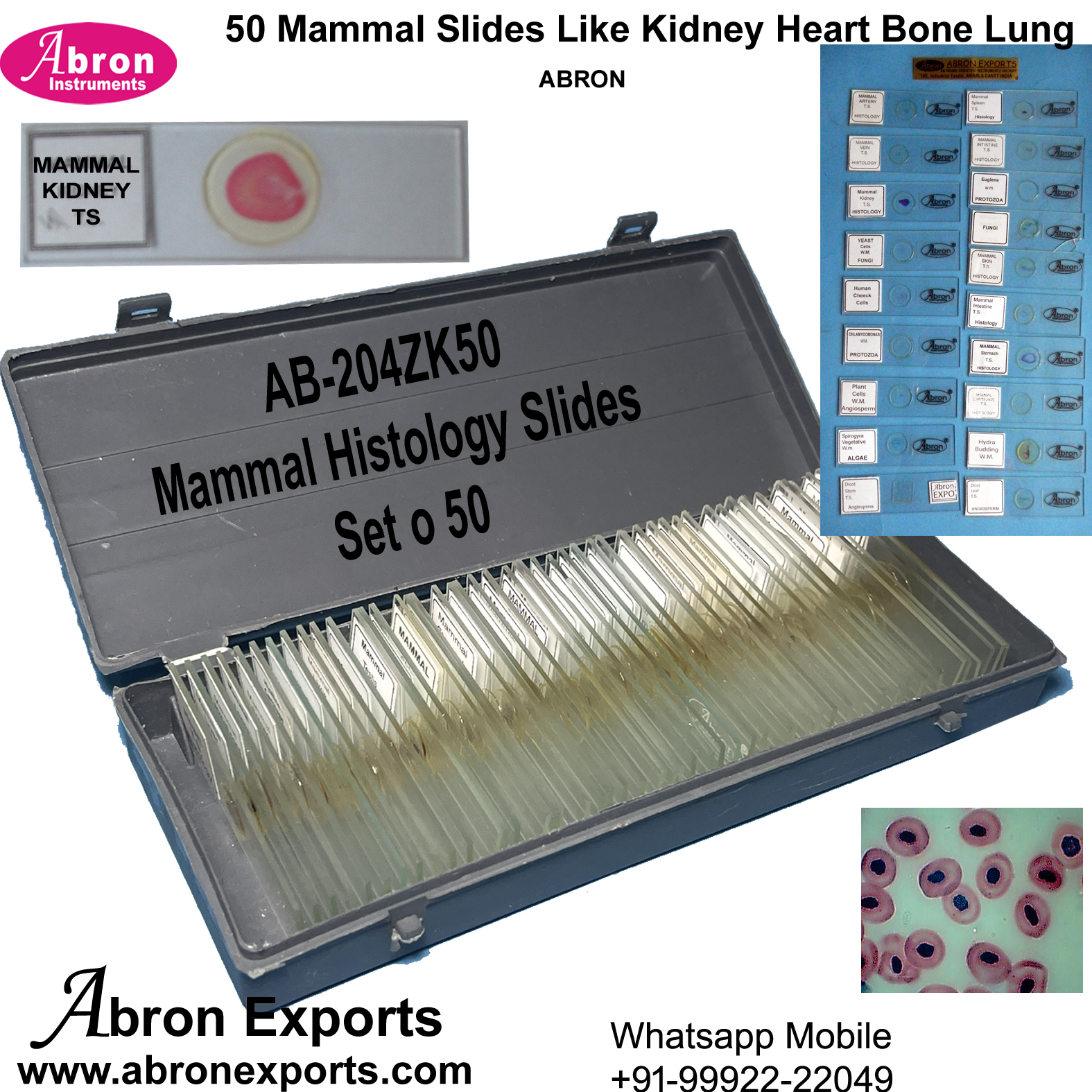 Slides Permanent Zoology General Set Of 50 In Box Mammal Histology Heart Bone Skin Lung Kidnet etc Abron AB-204ZK50 